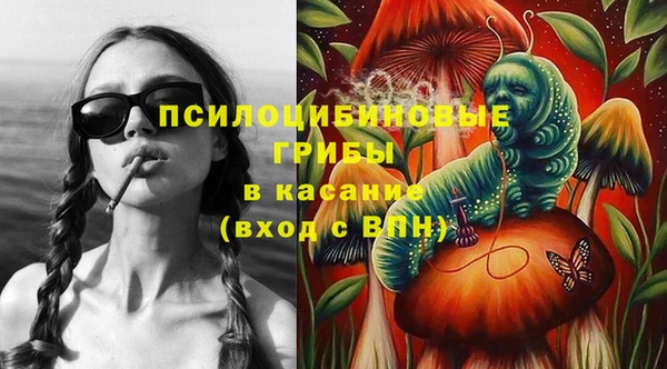 индика Богданович