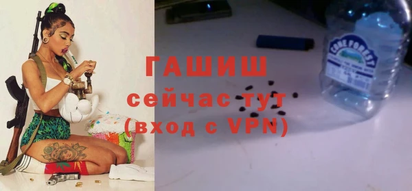 индика Богданович