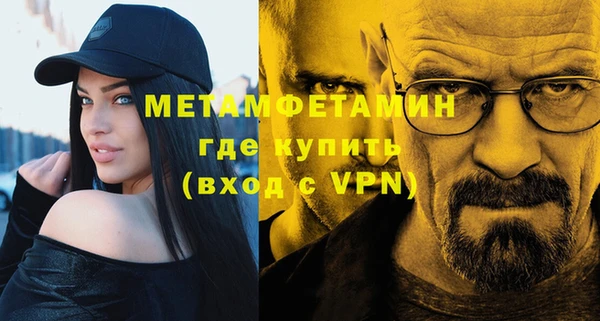 индика Богданович
