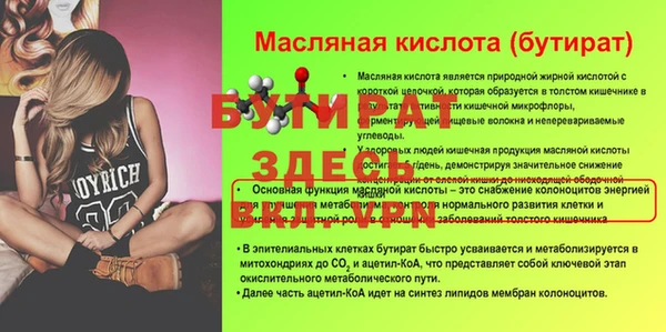 индика Богданович