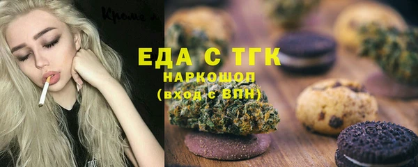 индика Богданович