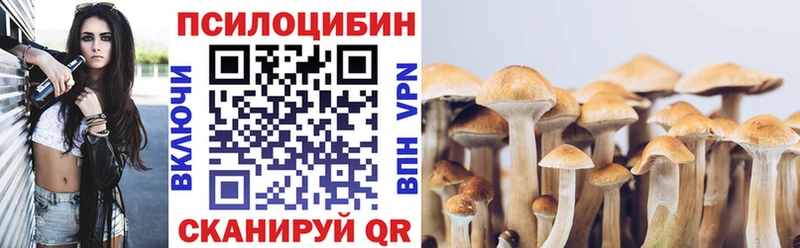 Галлюциногенные грибы Psilocybine cubensis Купить где Павлово